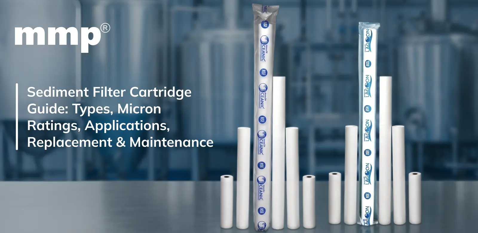 Sediment Filter Cartridge Guide: Types, Micron Ratings, Applications, Replacement & Maintenance