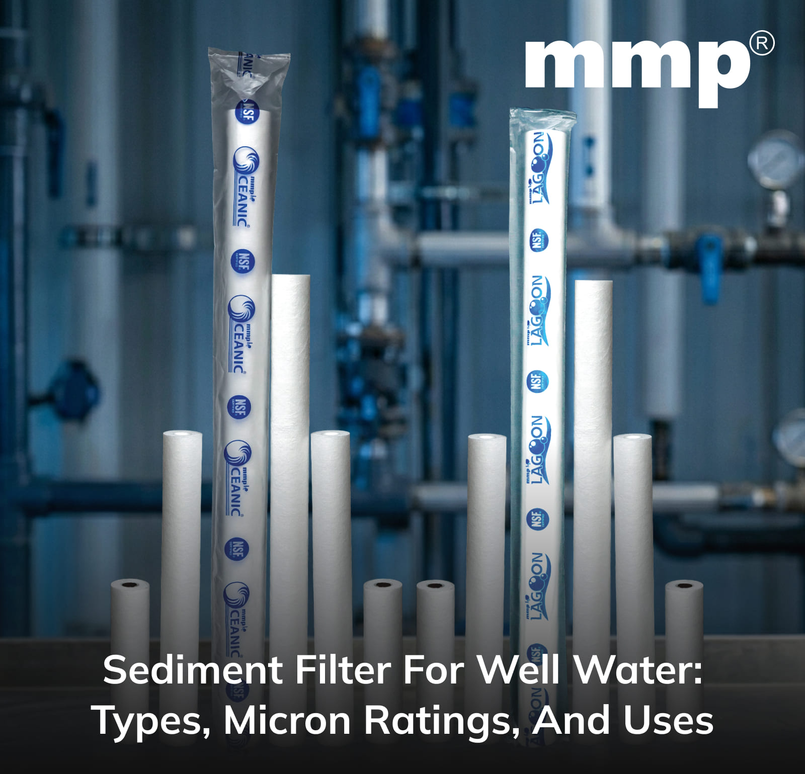 Sediment Filter for Well Water: Types, Micron Ratings, and Uses